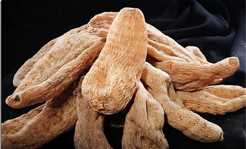 暑假里補(bǔ)充營(yíng)養(yǎng),推薦孩子吃四種食物,補(bǔ)充營(yíng)養(yǎng),改善血液循環(huán)