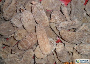 怎么判定野生天麻