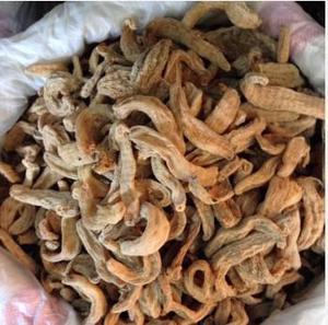 【無(wú)硫磺 天麻 【小】】?jī)r(jià)格_廠家_圖片 -